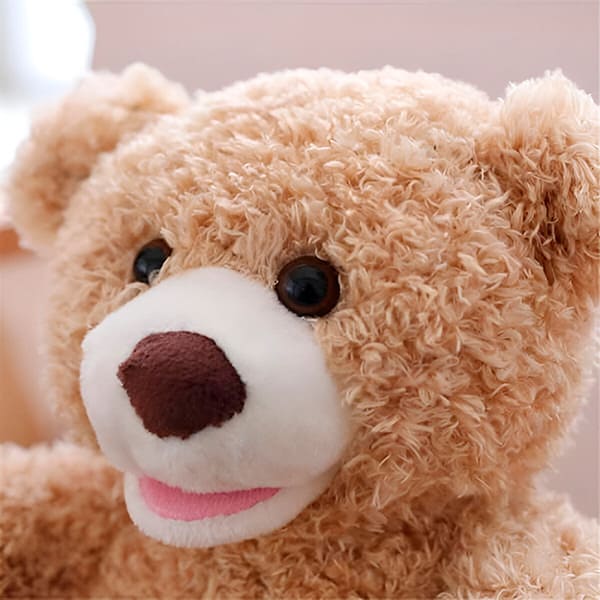 Peek-a-Boo Teddy™ - Bop Buzz Peek-a-Boo Teddy™ Default Title Bop Buzz