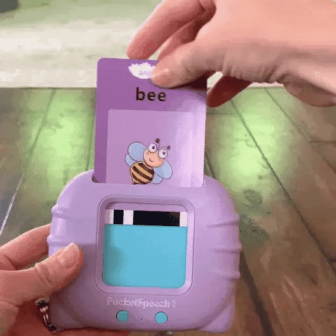 Talking Flash Cards – Learn and Play
