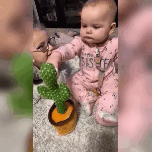 The Dancing & Talking Cactus - Bop Buzz The Dancing & Talking Cactus Default Title Bop Buzz